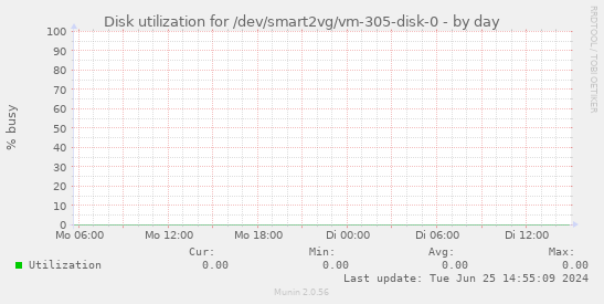 Disk utilization for /dev/smart2vg/vm-305-disk-0