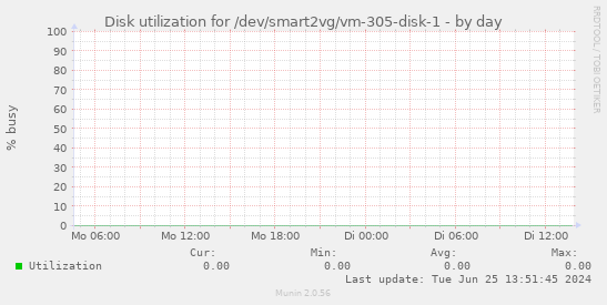 Disk utilization for /dev/smart2vg/vm-305-disk-1