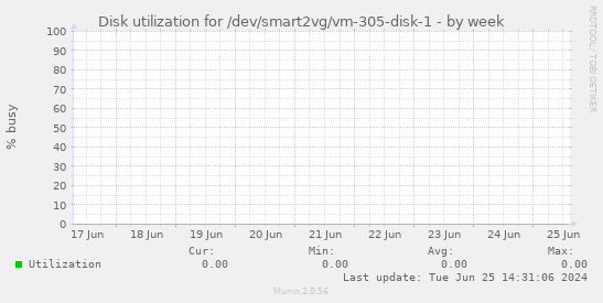 Disk utilization for /dev/smart2vg/vm-305-disk-1