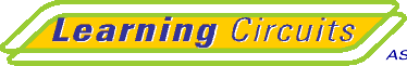 Learning Circuits