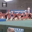 MVI_1446.mp4